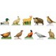 100 fèves Les animaux de nos campagnes
