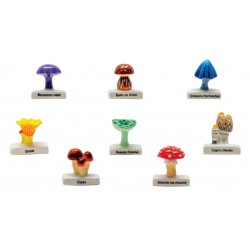 100 fèves les champignons